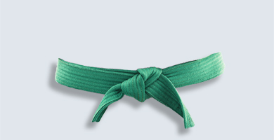Lean Six Sigma - Green Belt